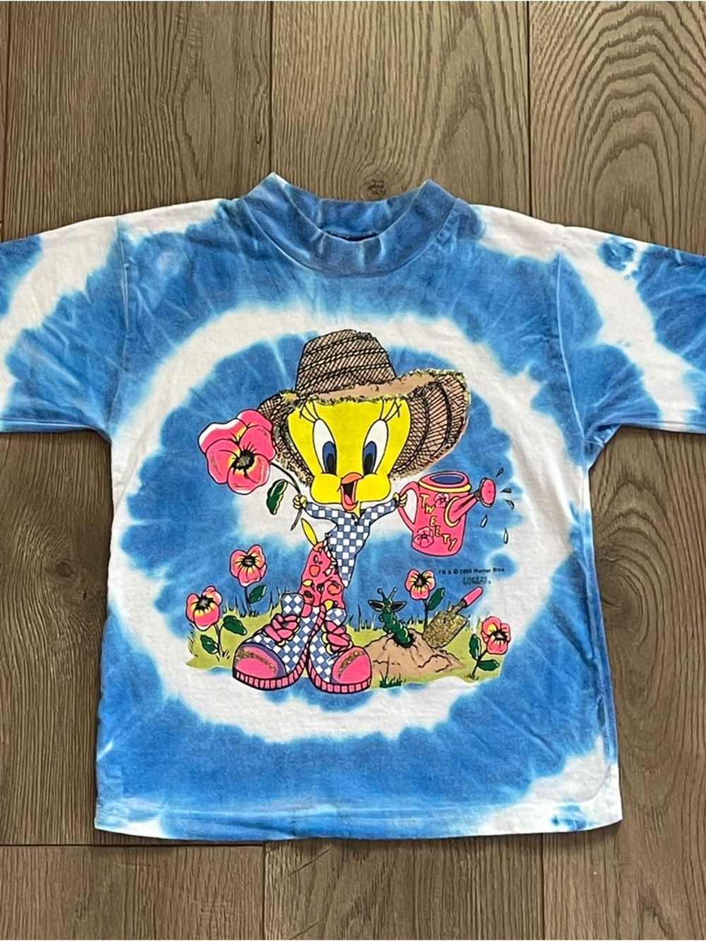 Vintage 1995 Freeze Looney Tunes Tweety Bird Tie Dye Gardener Youth Large Shirt